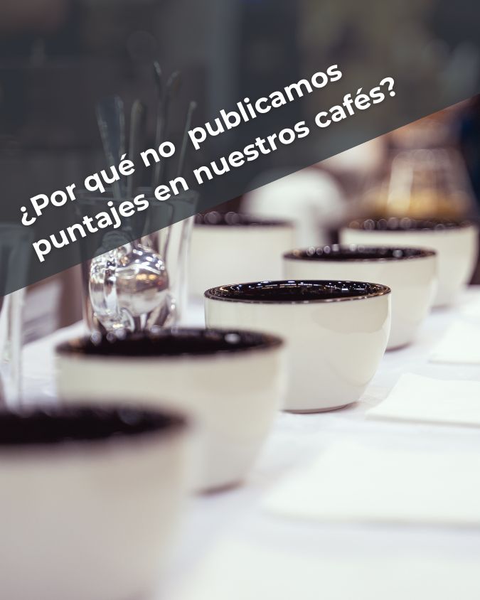 ¿Por qué no publicamos puntajes en nuestros cafés?
