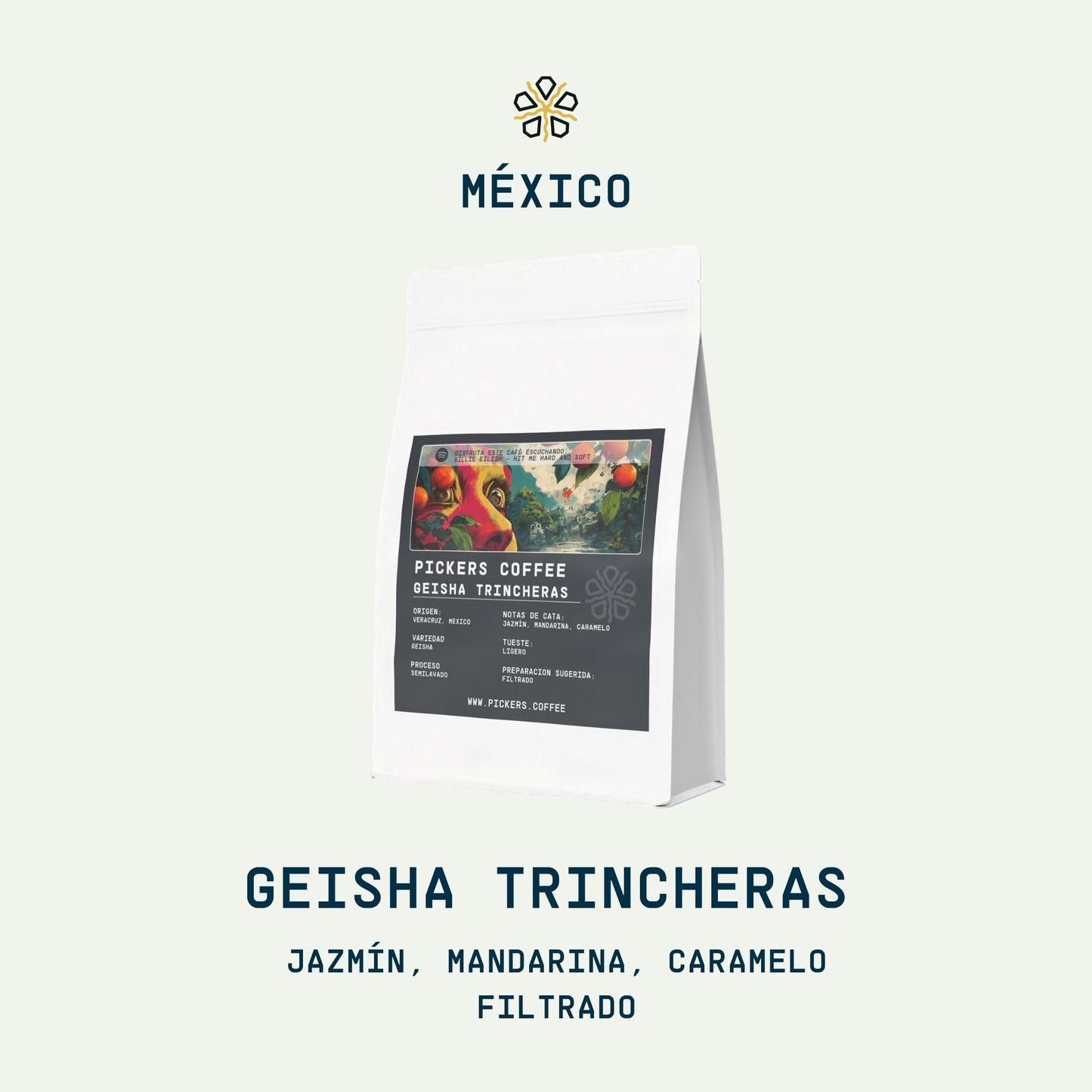 Gesha Trincheras