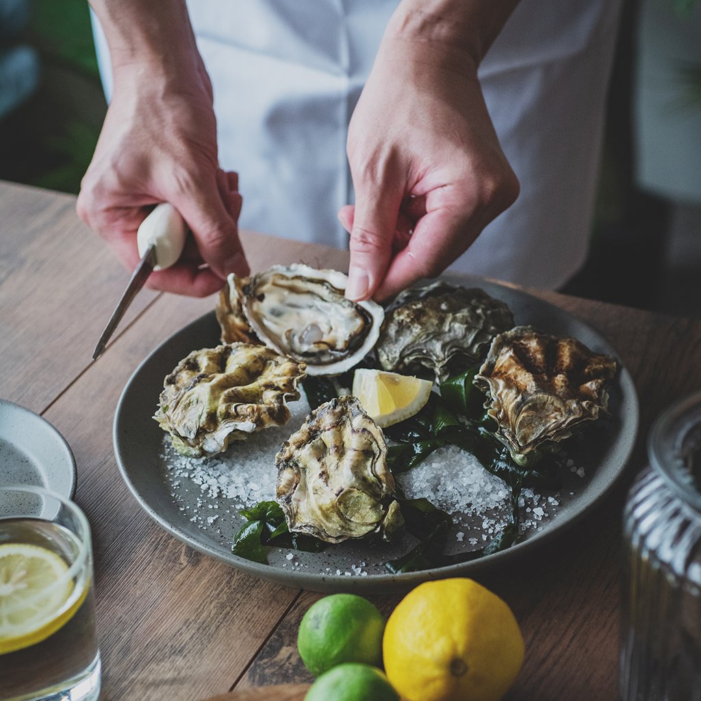 STONE - Set 4 Platos Bajos de 27cm