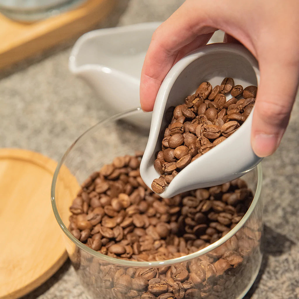 Champions Signature - Set 2 Dosing Trays