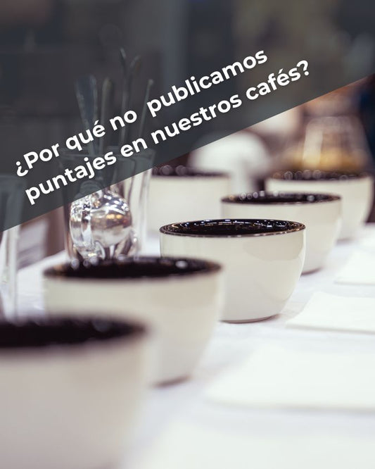 ¿Por qué no publicamos puntajes en nuestros cafés?
