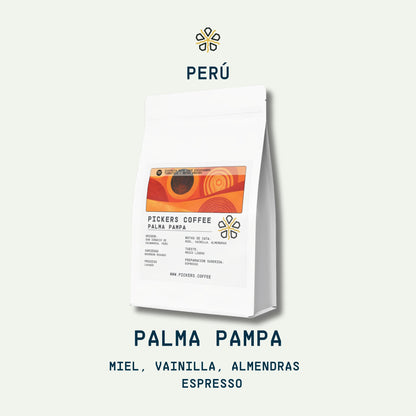Palma Pampa